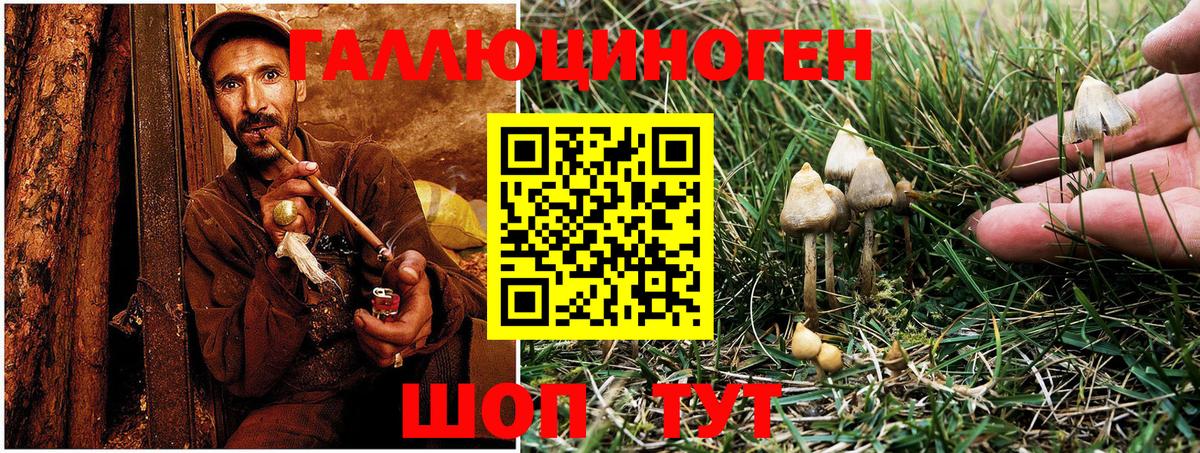 Псилоцибиновые грибы GOLDEN TEACHER Усинск